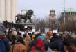 Animal protest