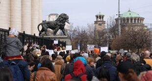 Стотици настояха за по-високи наказания за насилниците над животни