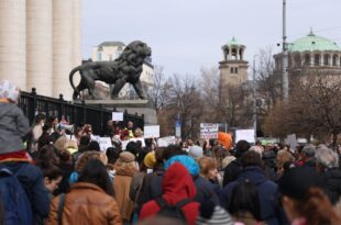 Animal protest