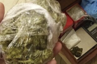 Marihuana
