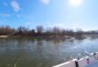Maznina ruse dunav