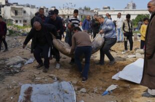 Palestine casualties
