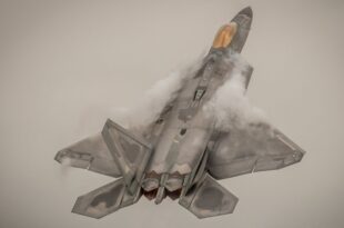 Raptor