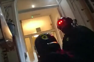 Spy hunt