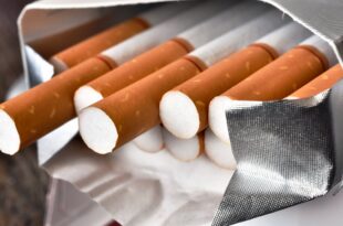 Cigari danuk