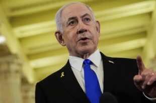 Bibi gay