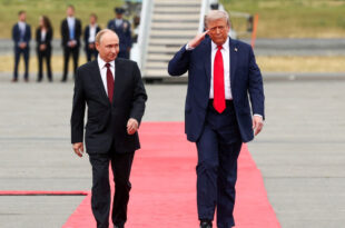 trump, putin